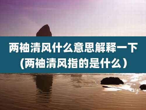 两袖清风什么意思解释一下(两袖清风指的是什么)