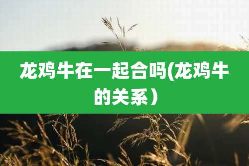 龙鸡牛在一起合吗(龙鸡牛的关系)