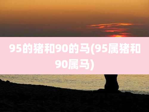 95的猪和90的马(95属猪和90属马)