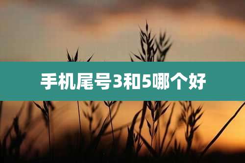 手机尾号3和5哪个好