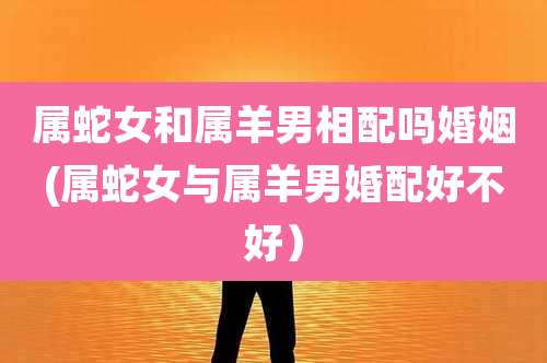 属蛇女和属羊男相配吗婚姻(属蛇女与属羊男婚配好不好）