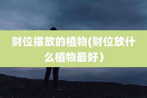 财位摆放的植物(财位放什么植物最好）