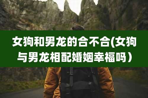 女狗和男龙的合不合(女狗与男龙相配婚姻幸福吗）