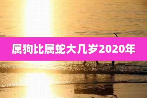 属狗比属蛇大几岁2020年