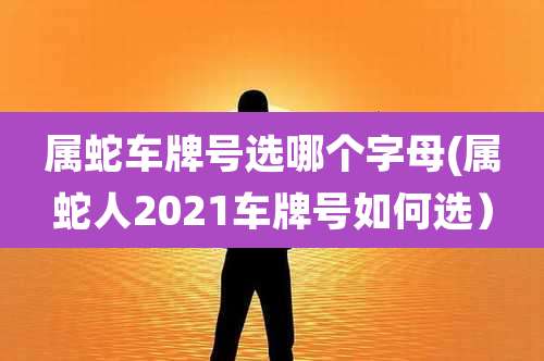 属蛇车牌号选哪个字母(属蛇人2021车牌号如何选)