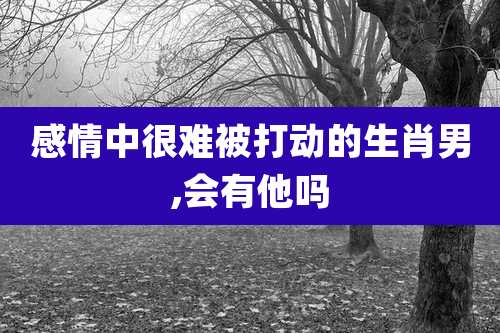 感情中很难被打动的生肖男,会有他吗