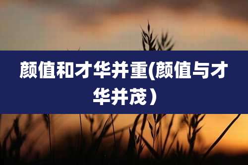 颜值和才华并重(颜值与才华并茂）