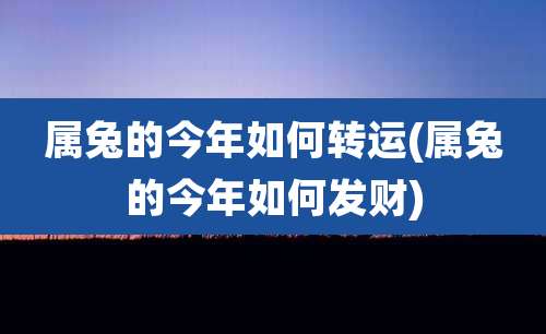 属兔的今年如何转运(属兔的今年如何发财)