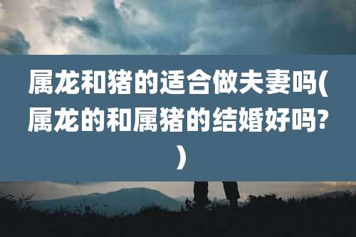 属龙和猪的适合做夫妻吗(属龙的和属猪的结婚好吗?）