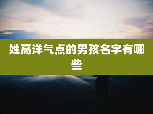 姓高洋气点的男孩名字有哪些