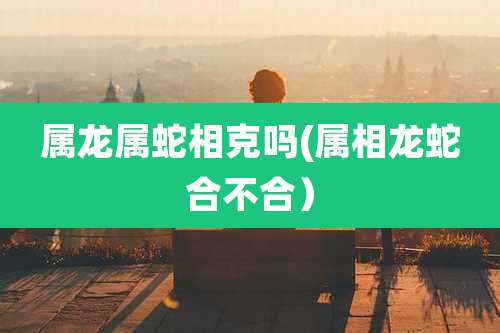 属龙属蛇相克吗(属相龙蛇合不合）