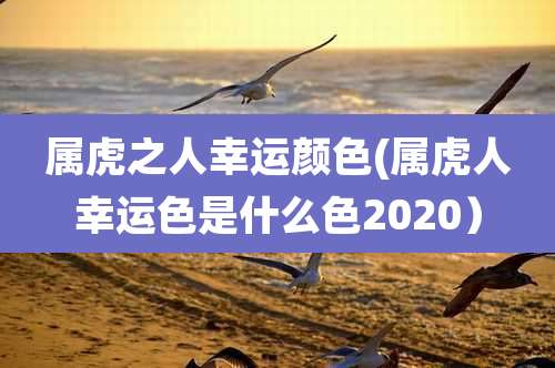 属虎之人幸运颜色(属虎人幸运色是什么色2020）