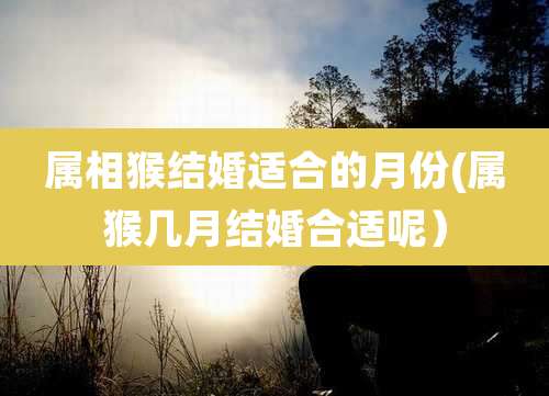 属相猴结婚适合的月份(属猴几月结婚合适呢）