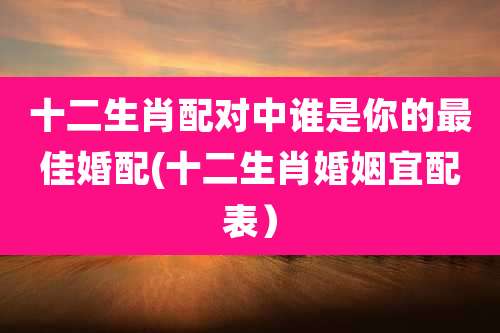 十二生肖配对中谁是你的最佳婚配(十二生肖婚姻宜配表）