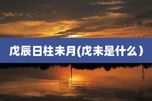 戊辰日柱未月(戊未是什么)