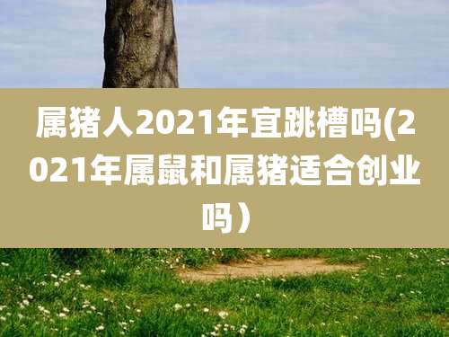 属猪人2021年宜跳槽吗(2021年属鼠和属猪适合创业吗)