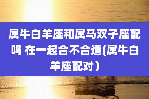 属牛白羊座和属马双子座配吗 在一起合不合适(属牛白羊座配对)