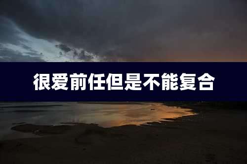 很爱前任但是不能复合