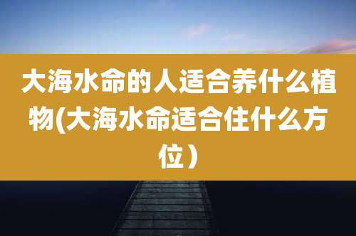 大海水命的人适合养什么植物(大海水命适合住什么方位)