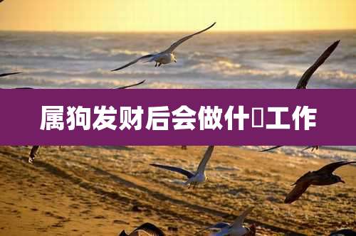 属狗发财后会做什麼工作
