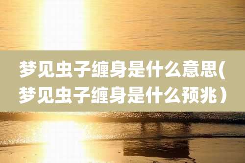 梦见虫子缠身是什么意思(梦见虫子缠身是什么预兆)