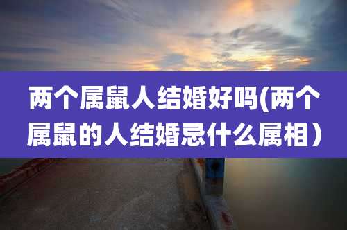 两个属鼠人结婚好吗(两个属鼠的人结婚忌什么属相)