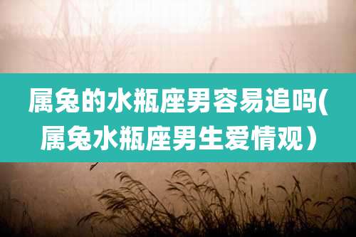 属兔的水瓶座男容易追吗(属兔水瓶座男生爱情观）