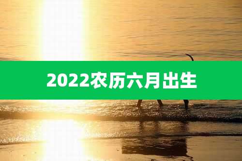 2022农历六月出生