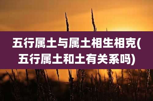 五行属土与属土相生相克(五行属土和土有关系吗)