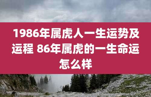 1986年属虎人一生运势及运程 86年属虎的一生命运怎么样