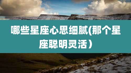 哪些星座心思细腻(那个星座聪明灵活)
