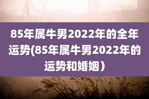 85年属牛男2022年的全年运势(85年属牛男2022年的运势和婚姻）