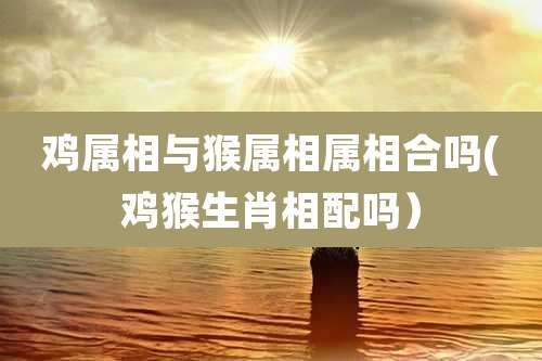 鸡属相与猴属相属相合吗(鸡猴生肖相配吗）