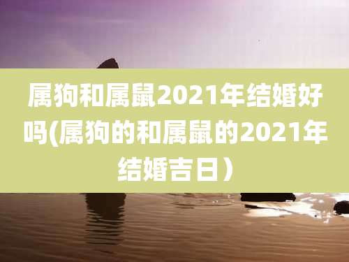 属狗和属鼠2021年结婚好吗(属狗的和属鼠的2021年结婚吉日）