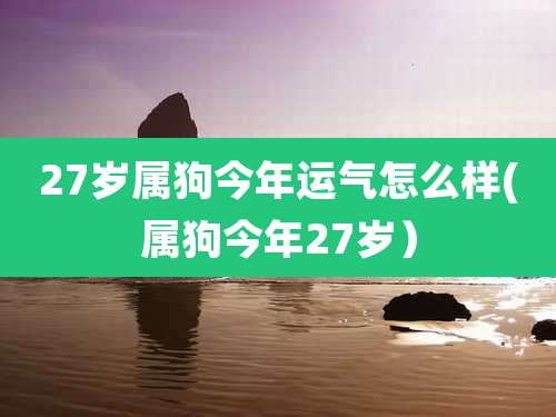 27岁属狗今年运气怎么样(属狗今年27岁)