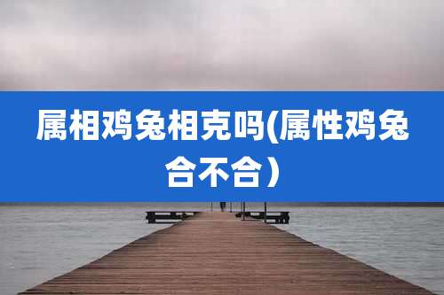 属相鸡兔相克吗(属性鸡兔合不合)
