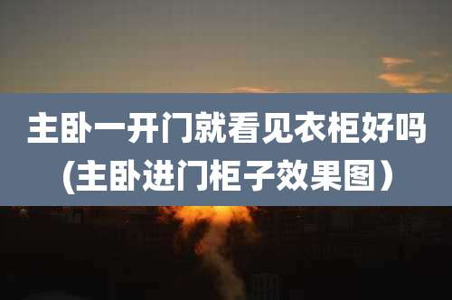 主卧一开门就看见衣柜好吗(主卧进门柜子效果图）
