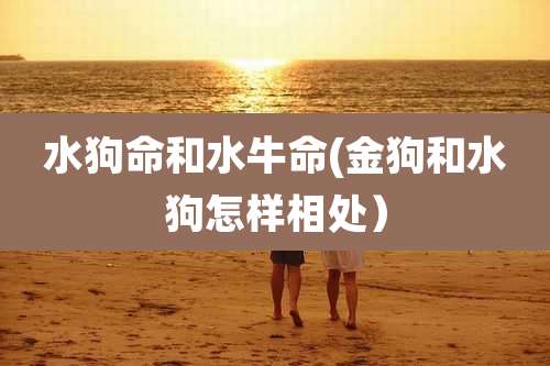 水狗命和水牛命(金狗和水狗怎样相处)