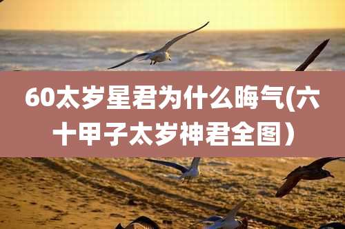 60太岁星君为什么晦气(六十甲子太岁神君全图)