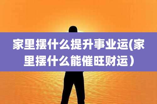 家里摆什么提升事业运(家里摆什么能催旺财运)