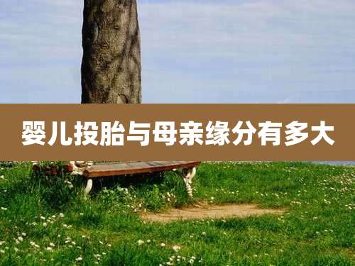 婴儿投胎与母亲缘分有多大