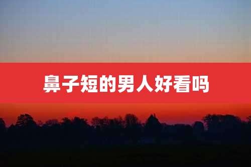 鼻子短的男人好看吗