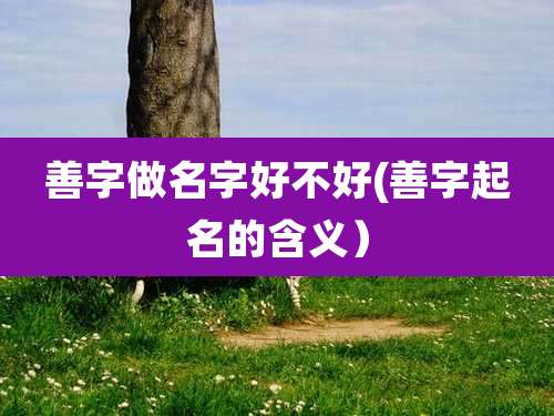 善字做名字好不好(善字起名的含义)