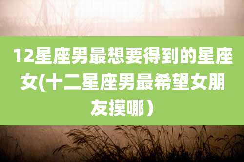 12星座男最想要得到的星座女(十二星座男最希望女朋友摸哪）
