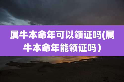 属牛本命年可以领证吗(属牛本命年能领证吗）