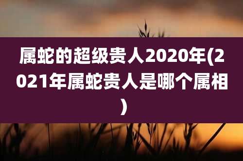 属蛇的超级贵人2020年(2021年属蛇贵人是哪个属相)