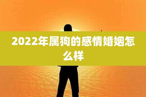 2022年属狗的感情婚姻怎么样