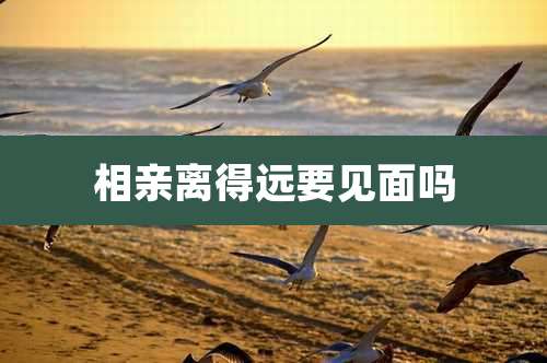 相亲离得远要见面吗