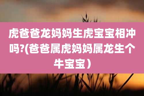 虎爸爸龙妈妈生虎宝宝相冲吗?(爸爸属虎妈妈属龙生个牛宝宝)