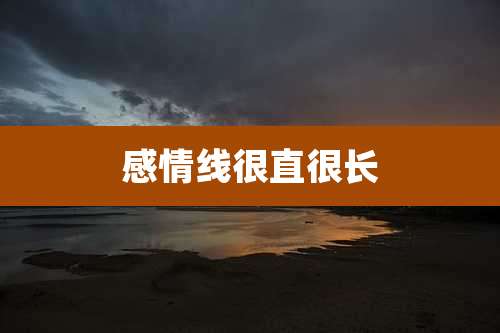 感情线很直很长